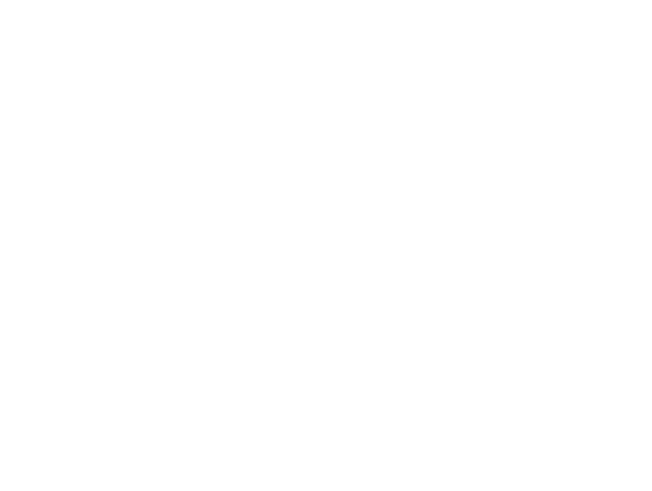 BLACKCAT Capital4